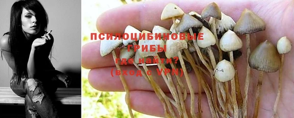 гашик Вязьма