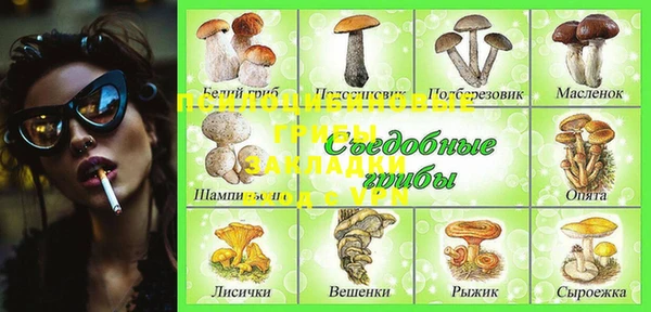 гашик Вязьма
