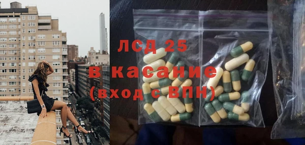 гашик Вязьма