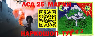 индика Вязники