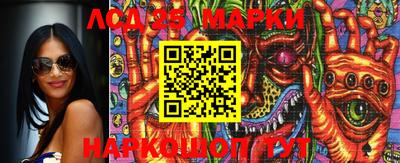 индика Вязники