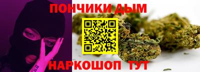 индика Вязники