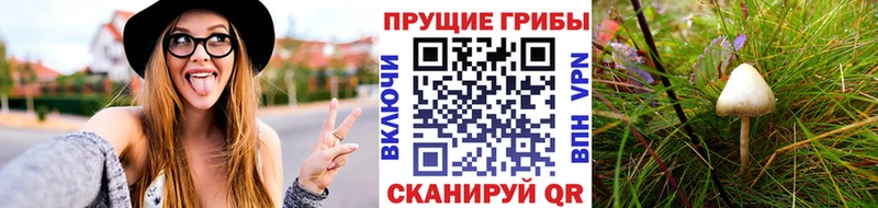 Купить  Находка  Галлюциногенные грибы ЛСД 