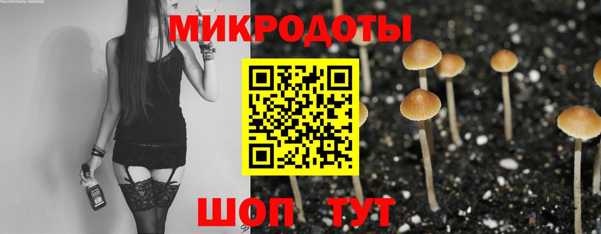 Псилоцибиновые грибы Psilocybe  где купить   Находка  Вход с VPN  Псилоцибиновые грибы Psilocybe 